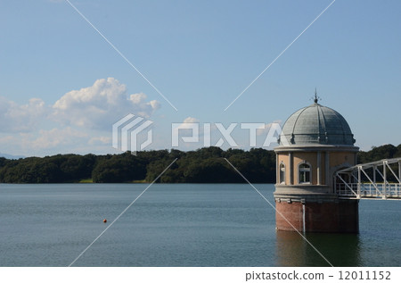 Tamaoka Tamaoka 12011152