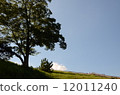  park 12011240