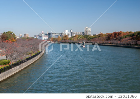 Okawa 12011360