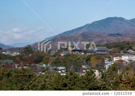 Kurodani Kimiki Komyoji 12011559