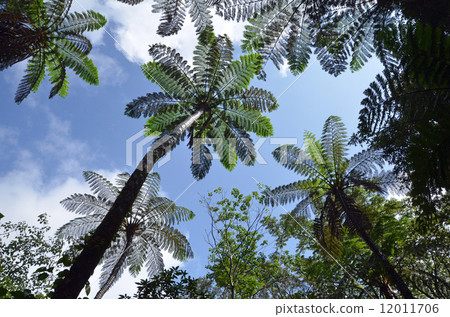 Kanji no Hikage Hegau 12011706