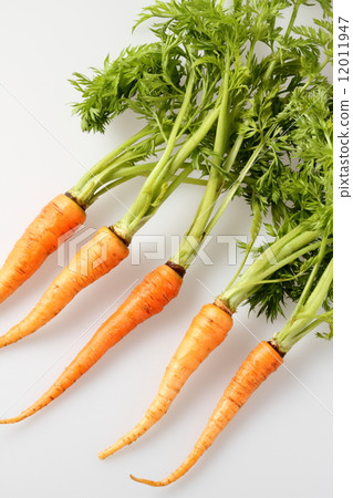 Carrots with leaves 12011947