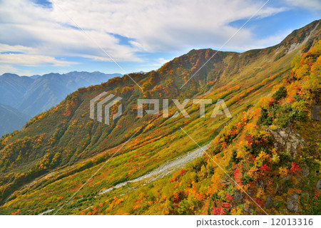 Kurobe Tateyama alpine route rough view of autumn leaves Kurobe Tateyama alpine route rough view of autumn leaves 12013316