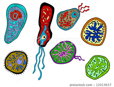 Colorful amebas, amoebas, microbes and germs set Colorful amebas, amoebas, microbes and germs set 12013637