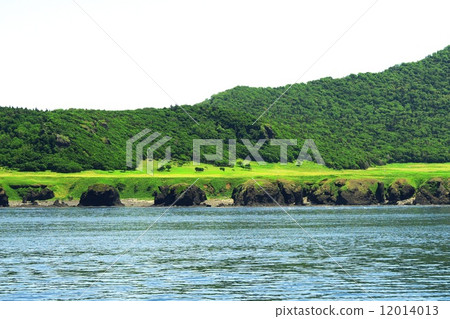 知床半島世界自然遺產 12014013