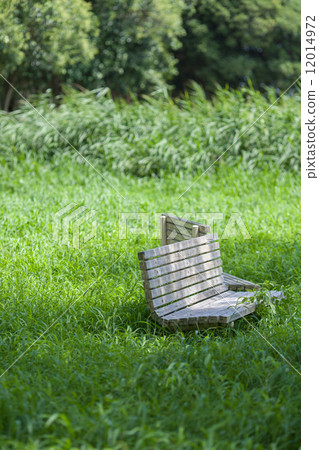 Meadow Meadow 12014972