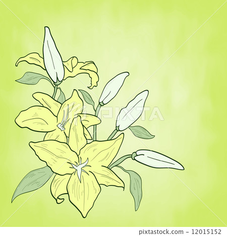 background with green flower lily, spring theme background with green flower lily, spring theme 12015152