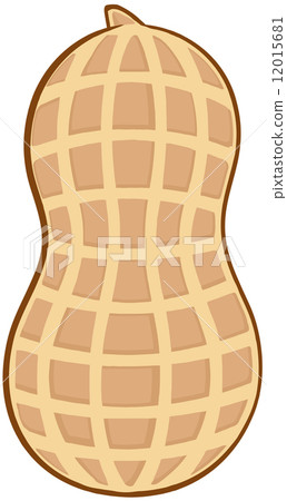 Peanut Isolated Of White 12015681