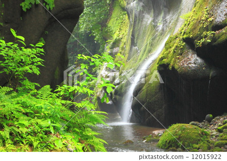 Valley and mountain stream 12015922