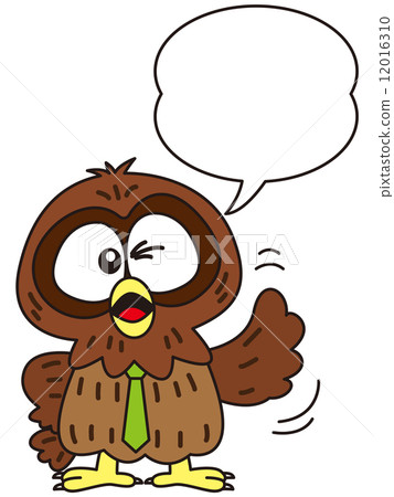 Owl Owl 12016310