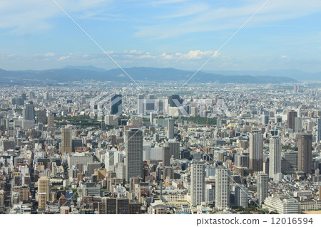 大阪城公園景區的風景 大阪城公園景區的風景 12016594