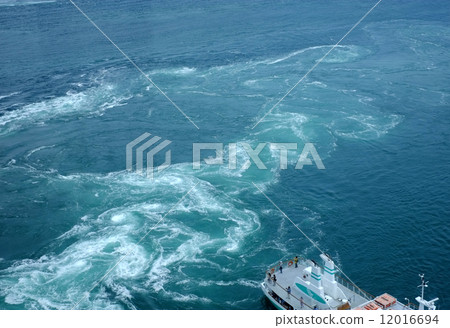 Seto Inland Sea Uzushio 12016694