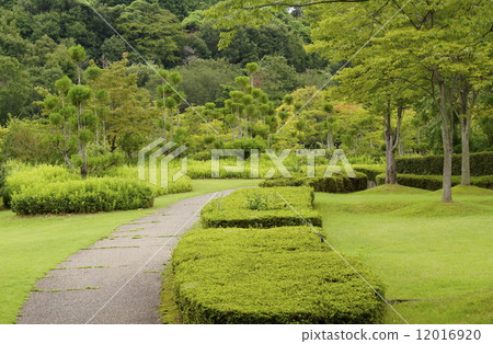 Park garden 12016920
