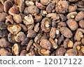 Ganoderma lucidum dried. 12017122