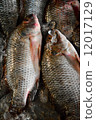 Tilapia sold in the markets. 12017129