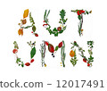 Autumn 12017491