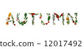 Autumn 12017492