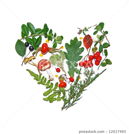 Floral autumn heart 12017493