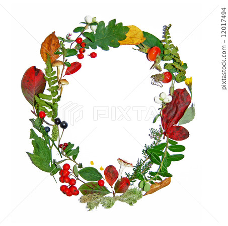 Floral autumn frame Floral autumn frame 12017494