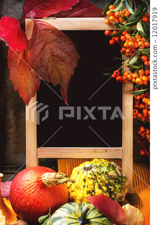 Pumpkins, nuts and empty chalkboard 12017919