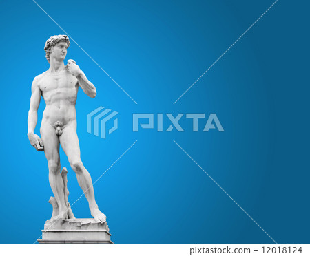 Michelangelo's David 12018124