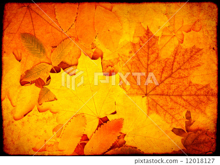 Grunge background 12018127