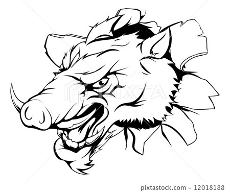 Boar ripping through background 12018188