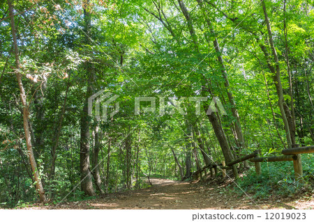 Promenade of Yatsukuniyama Green Area Promenade of Yatsukuniyama Green Area 12019023