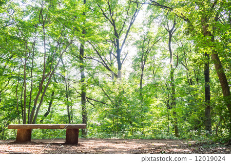 Promenade of Yatsukuniyama Green Area Promenade of Yatsukuniyama Green Area 12019024