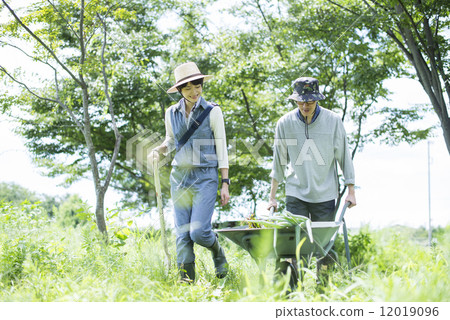 Youth and agriculture 12019096