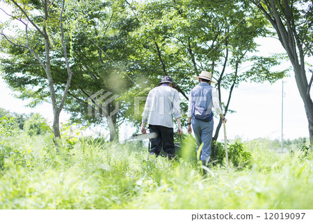 Youth and agriculture 12019097