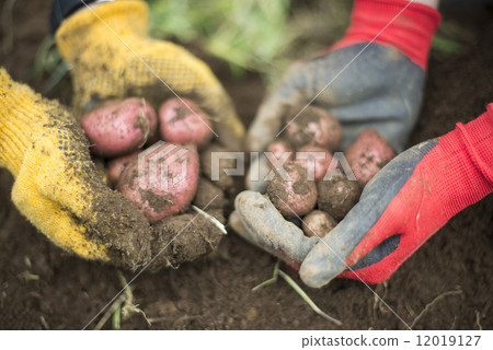 Youth and agriculture Youth and agriculture 12019127