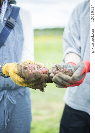 Youth and agriculture Youth and agriculture 12019134