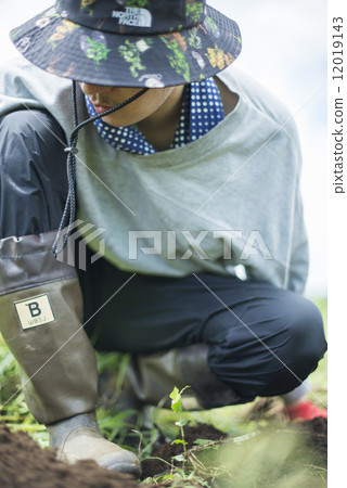 Youth and agriculture Youth and agriculture 12019143