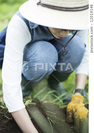 Youth and agriculture 12019146