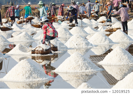 saline in Samutsakorn 12019525