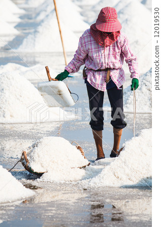 saline in Samutsakorn saline in Samutsakorn 12019530