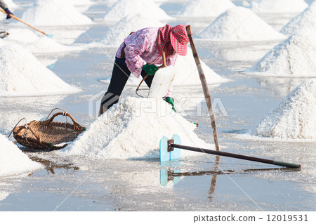 saline in Samutsakorn saline in Samutsakorn 12019531