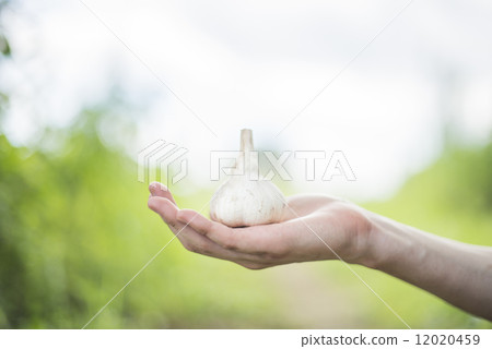 Youth and agriculture Youth and agriculture 12020459