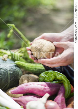 Youth and agriculture Youth and agriculture 12020468