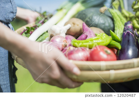 青年與農業 12020487