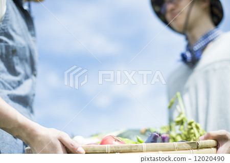 Youth and agriculture 12020490