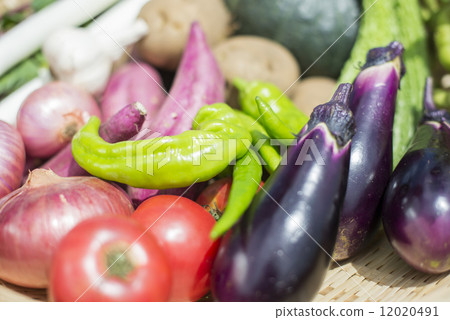 Youth and agriculture 12020491