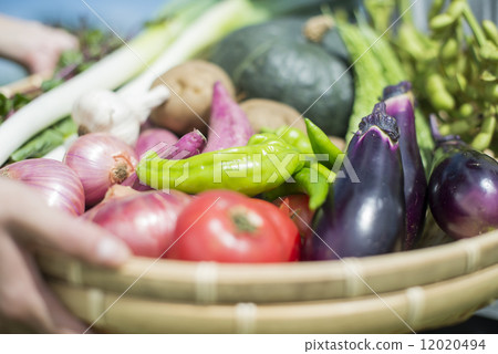 青年與農業 12020494