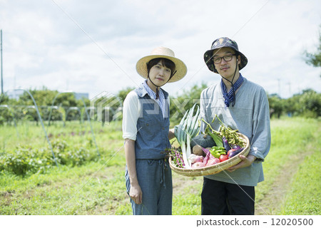 Youth and agriculture 12020500
