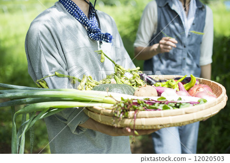 青年與農業 12020503