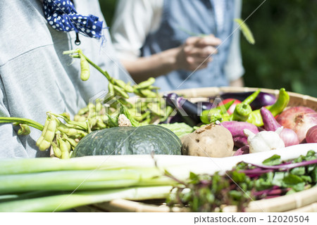 青年與農業 12020504