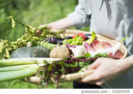 青年與農業 12020505