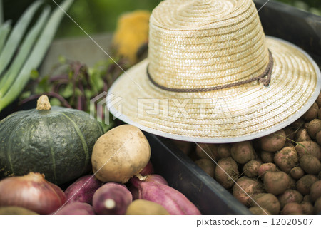 青年與農業 12020507