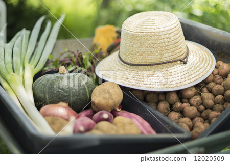 青年與農業 12020509